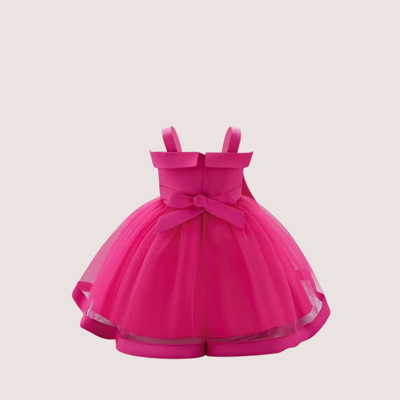 Embroidered Bow Tulle Birthday Dress