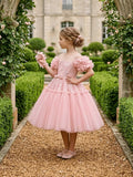 Pink Garden Fairy Princess Dress